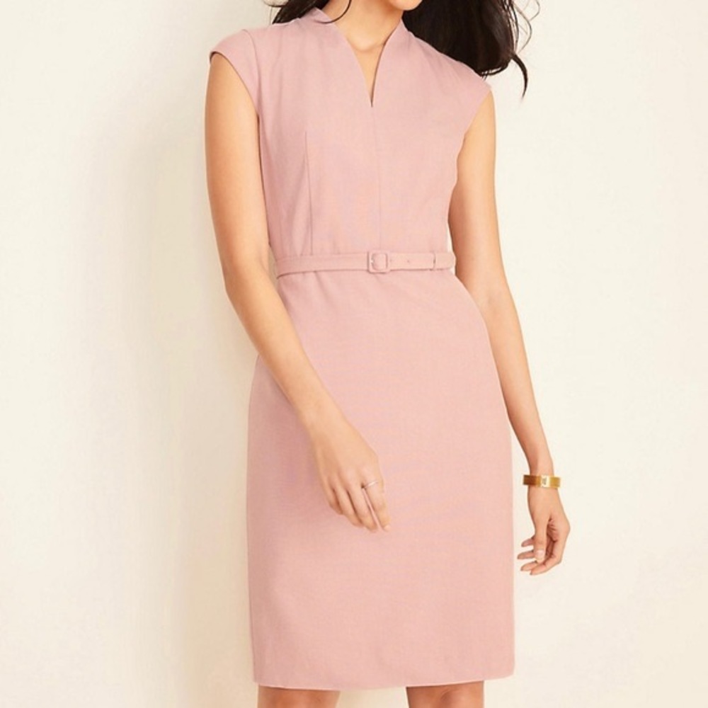 Ann Taylor belted sheath dress in end to end